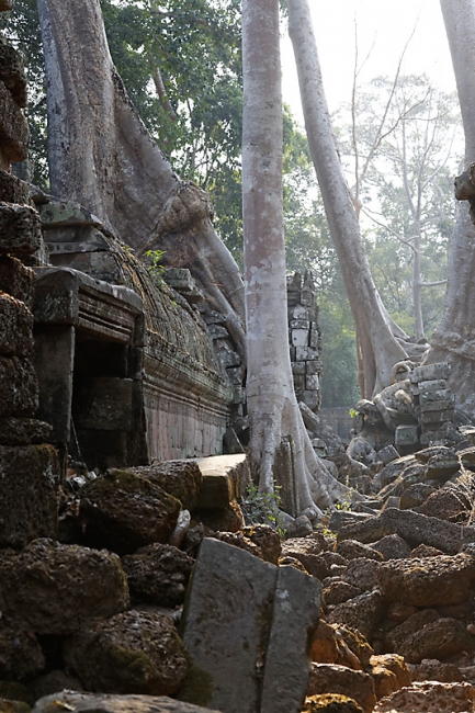 Ta Phrom et environs-143